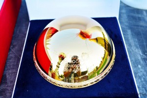 Vítězi zůstává replika každý rok, hlavní trofej je ale potřeba vyhrát třikrát v řadě nebo pětkrát dohromady