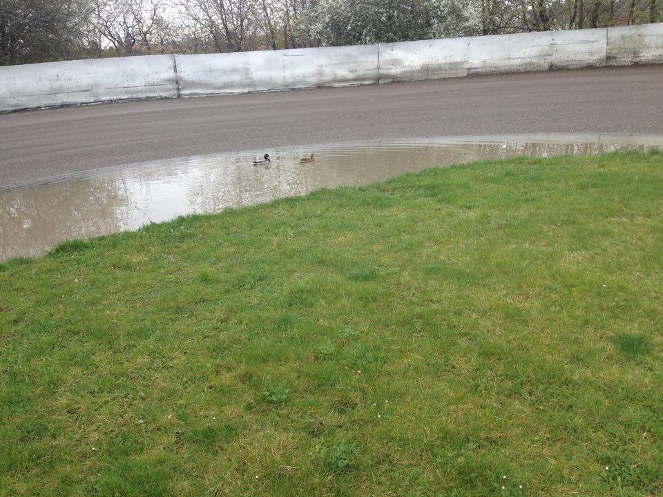 Kachny se musely odstěhovat jinam
