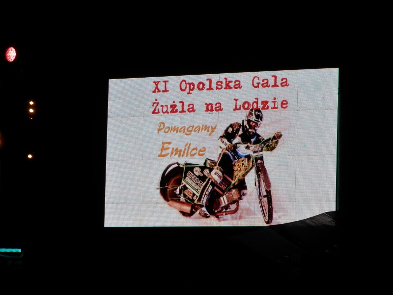 Závod má charitativní cíl.